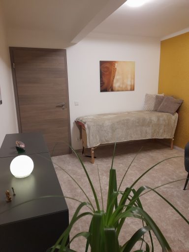 Coachingraum Helle, minimalistische Zimmeransicht mit Liege, Pflanze und dekorativem Licht.