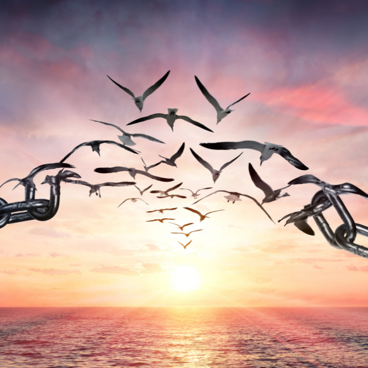 Seminartag "Befreiung" Vögel fliegen von zerbrochenen Ketten in den Sonnenuntergang über dem Meer.