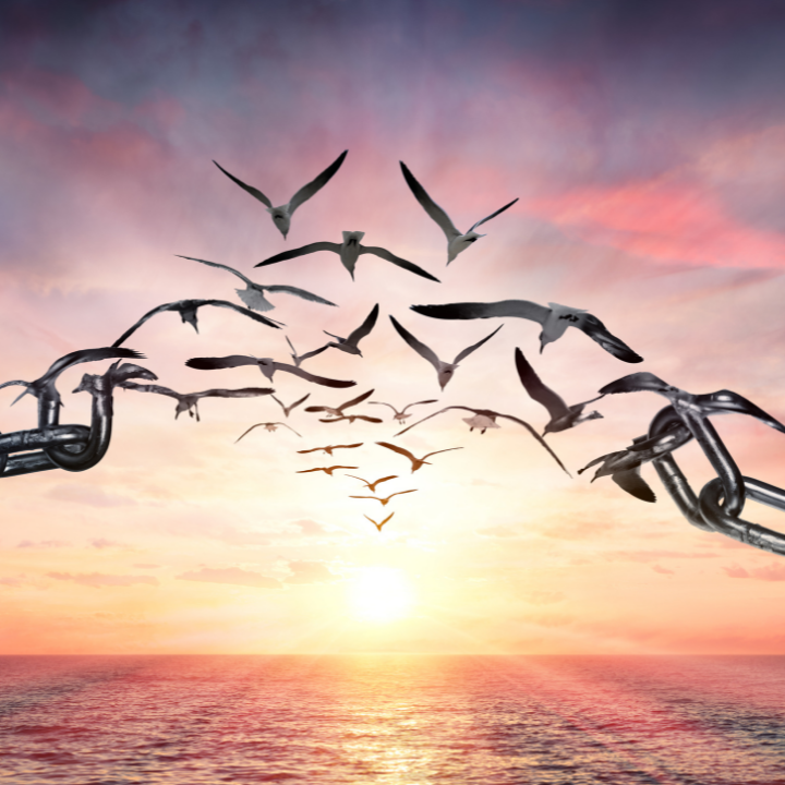 Befreiung Ketten brechen auf, während Vögel in den Sonnenaufgang fliegen.