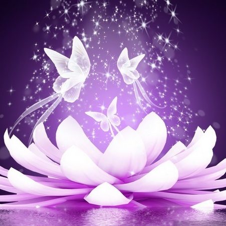 Ausbildung Eine schimmernde Lotusblüte mit transparenten Schmetterlingen und funkelndem lila Hintergrund.